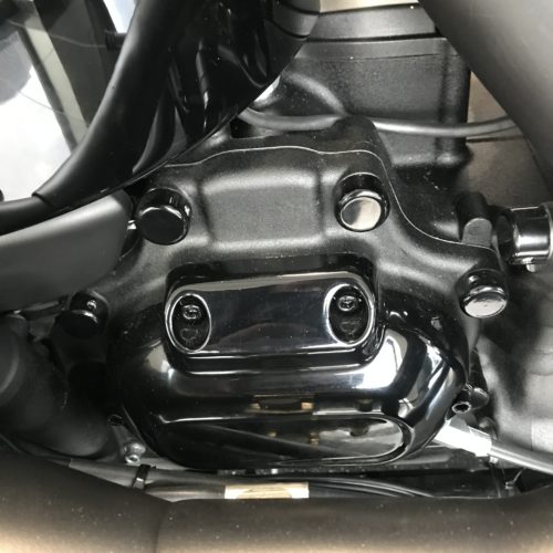 Schraubkappen/ Cover Aluminium komplettset alle Schrauben Softail ab 2018