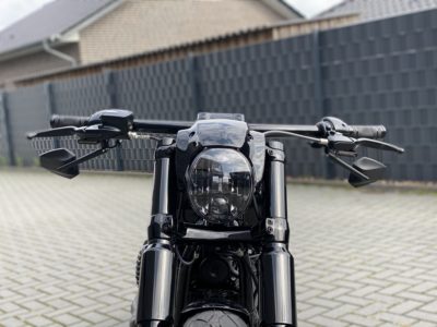 Custom Spiegel 2 + E-Nummer Softail ab Bj. 2018