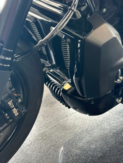 Radiator Cover Sportster S - Image 2