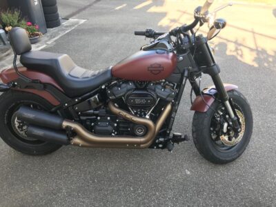 Footrest relocation 60mm for the original footrest system, Softail 2018 - 2024 + Tüv, Fat Bob FXFBS - Image 2